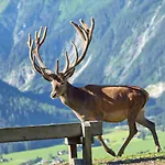 Hotel Abelhof Neukirchen am Grossvenediger