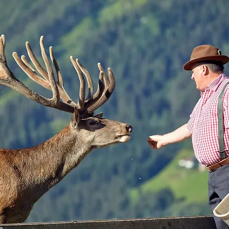 Hotel Abelhof Neukirchen am Großvenediger