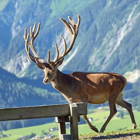 Hotel Abelhof Neukirchen am Großvenediger