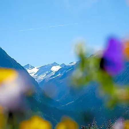 Abelhof 3* Neukirchen am Großvenediger